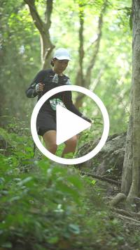 BIB:  <button type="button" onclick="openModal(27935214)" class="btn btn-primary btn-sm float-right" data-toggle="modal" data-target=".modal-high-quality">
                <i class="fa fa-download"></i> Download
                </button>